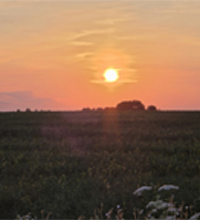 о компании-2